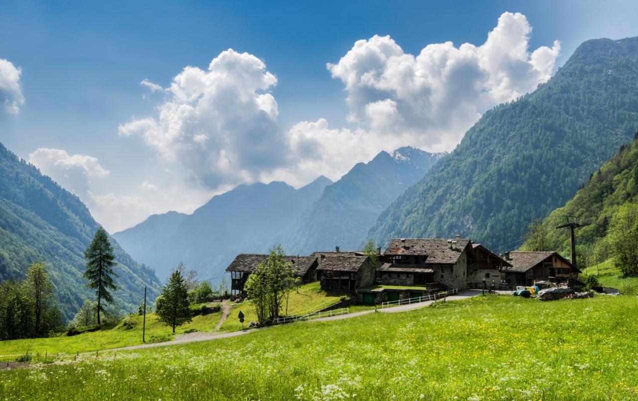 Alagna Mountain Resort & Spa Alagna Valsesia Exterior foto